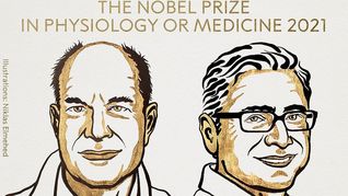 premio nobel de medicina para dos cientificos por descubrimiento de receptores para temperatura y tacto