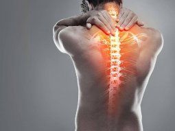 Día Internacional de la Columna Vertebral: tips para evitar dolores de espalda y cuello