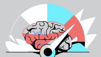 Cerebro y rendimiento.&nbsp;