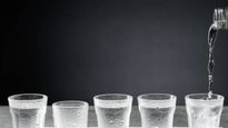 Más del 80% de los consumidores de vodka en Argentina prefiere los infusionados al regular