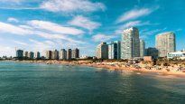 ¿un tranvia para punta del este? el proyecto para aliviar el trafico en la peninsula