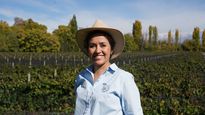 casarena bodegas y vinedos: liderazgo femenino con proyeccion internacional