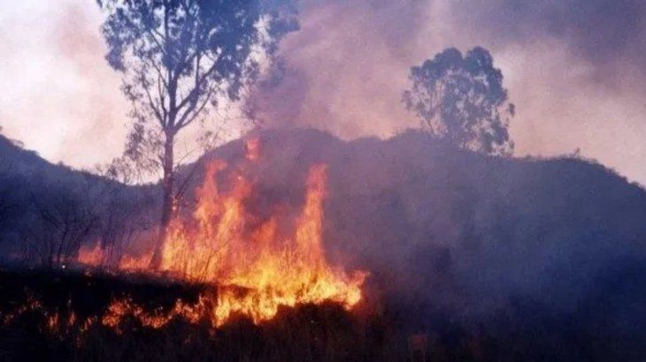 Incendios forestales.