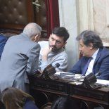 La UCR aspira a obtener apenas 14 bancas. La UCR aspira a obtener apenas 14 bancas.