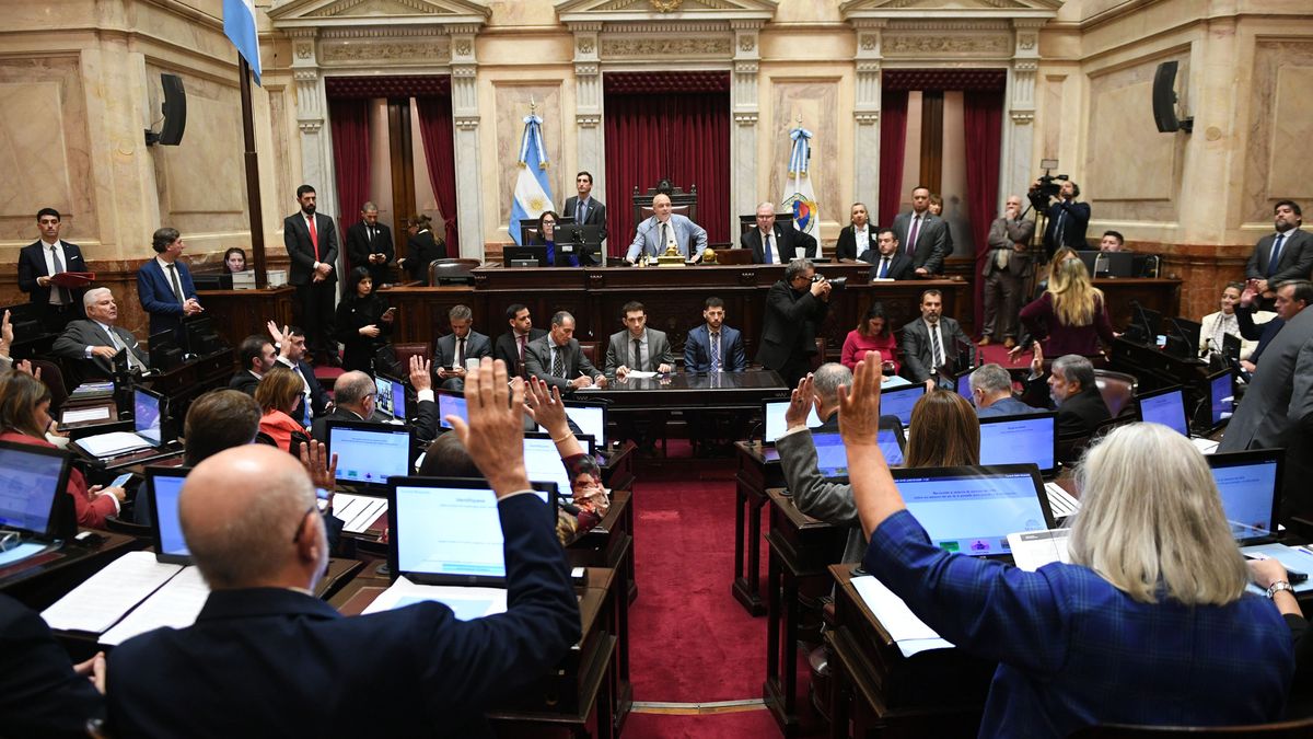 Punto para Patricia Bullrich: en una sesión polémica, el Senado aprobó el pliego de Michelli