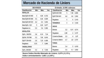 Caída del 3,13% para vacunos