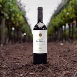 El Trapiche Medalla Cabernet Sauvignon 2024 recibió el premio al Mejor Vino del Mundo en la última edición del Sommeliers Choice Award y se convirtió en uno de los reconocimientos más destacados para la bodega mendocina El Trapiche Medalla Cabernet Sauvignon 2024 recibió el premio al Mejor Vino del Mundo en la última edición del Sommeliers Choice Award y se convirtió en uno de los reconocimientos más destacados para la bodega mendocina
