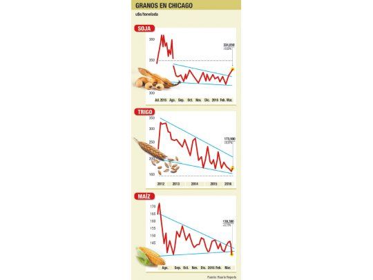 La soja aumentó 0,8% en Chicago