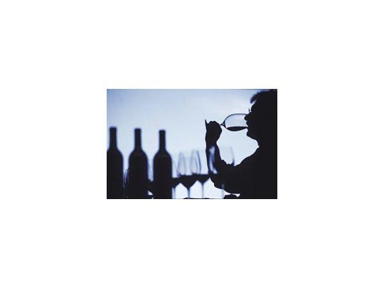 La Argentina es el quinto productor de vinos del mundo -con una superficie cultivada de 226.000 hectáreas-, detrás de Italia, Francia, España y Estados Unidos.