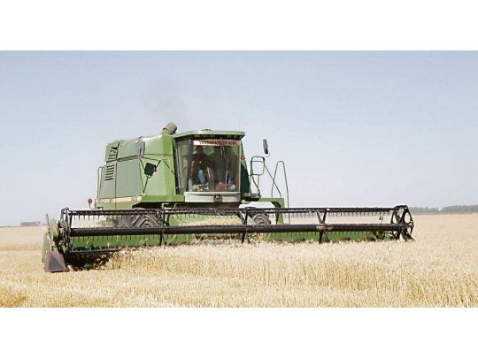 TRILLA EN MARCHA. Comenzó la cosecha de trigo en el norte de la Argentina con rindes más bien bajos por problemas climáticos.