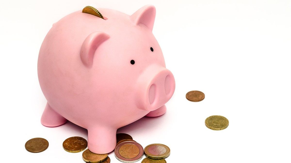 Sustainable Bitcoin: a Spanish exchange started mining cryptocurrencies with pig droppings Sustainable Bitcoin: a Spanish exchange started mining cryptocurrencies with pig droppings