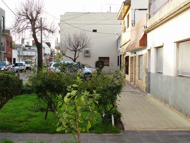 Veredas con  presencia verde son protagonistas en la zona