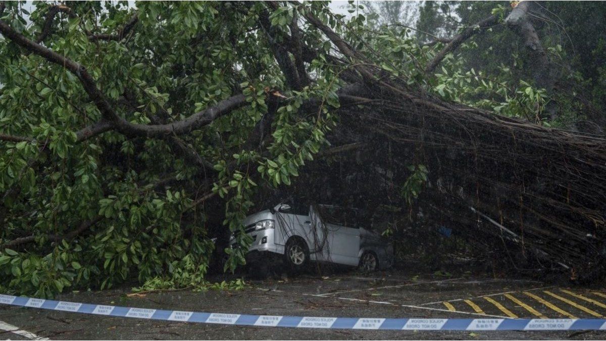 Typhoon Wipha hits southern China, causes chaos in airports and material damage