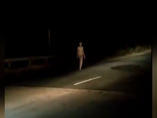 El alien camina por la ruta de la India&nbsp;