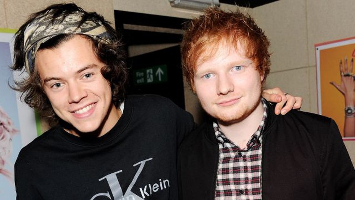 The WHO received donations from Harry Styles, Ed Sheeran and other celebrities