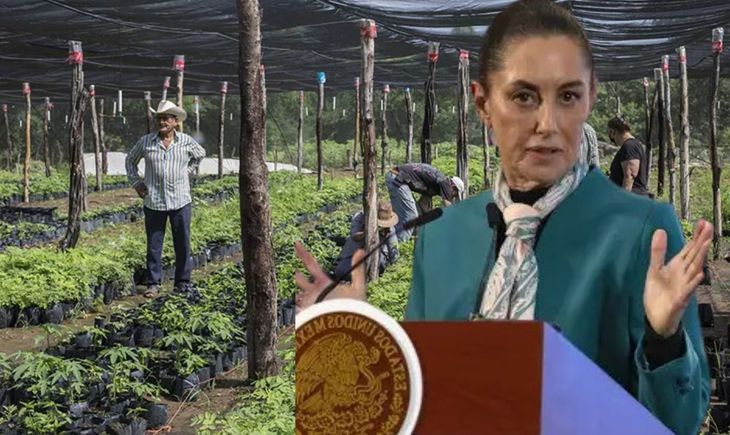 Gobierno de Claudia Sheinbaum confirma pago de $6,400 para estas personas en mayo 2025 Gobierno de Claudia Sheinbaum confirma pago de $6,400 para estas personas en mayo 2025