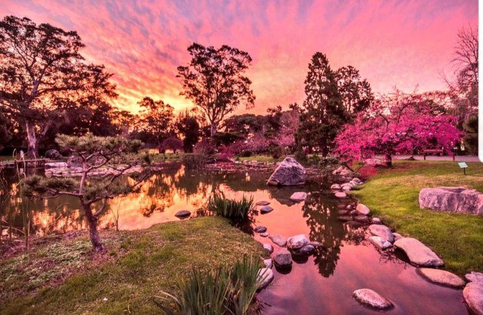 Con entradas anticipadas y delivery del restaurante que sirve comida tradicional nipona, el Jardín Japonés logró la forma de resurgir en cuarentena.