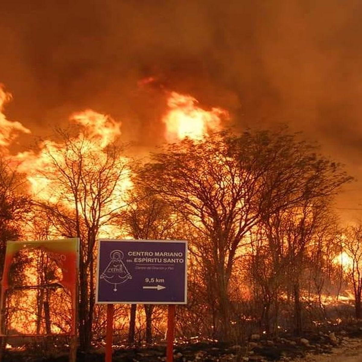 Que Se Puede Hacer Para Que No Haya Mas Incendios En La Argentina