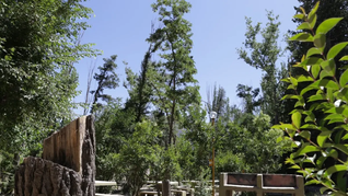 Una experiencia única en medio de la naturaleza mendocina, perfecta para unas vacaciones familiares.