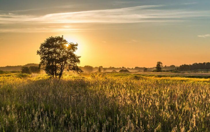 ámbito.com | campo.jpg