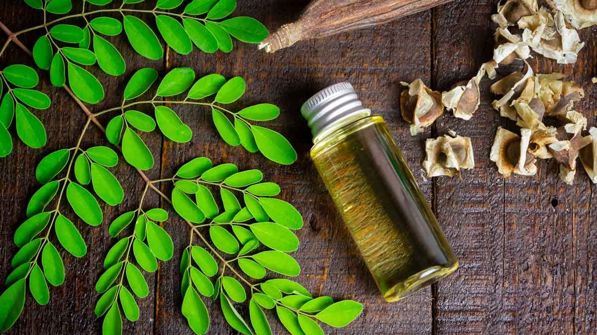 The plant that could fight world malnutrition and that almost nobody knows