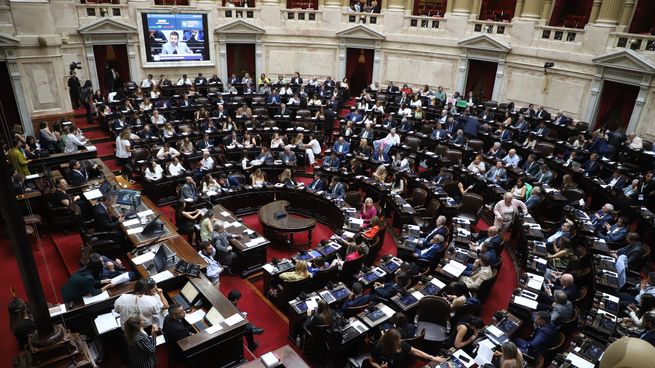 Las reformas de seguridad ingresaron al temario de las sesiones extraordinarias en Diputados.