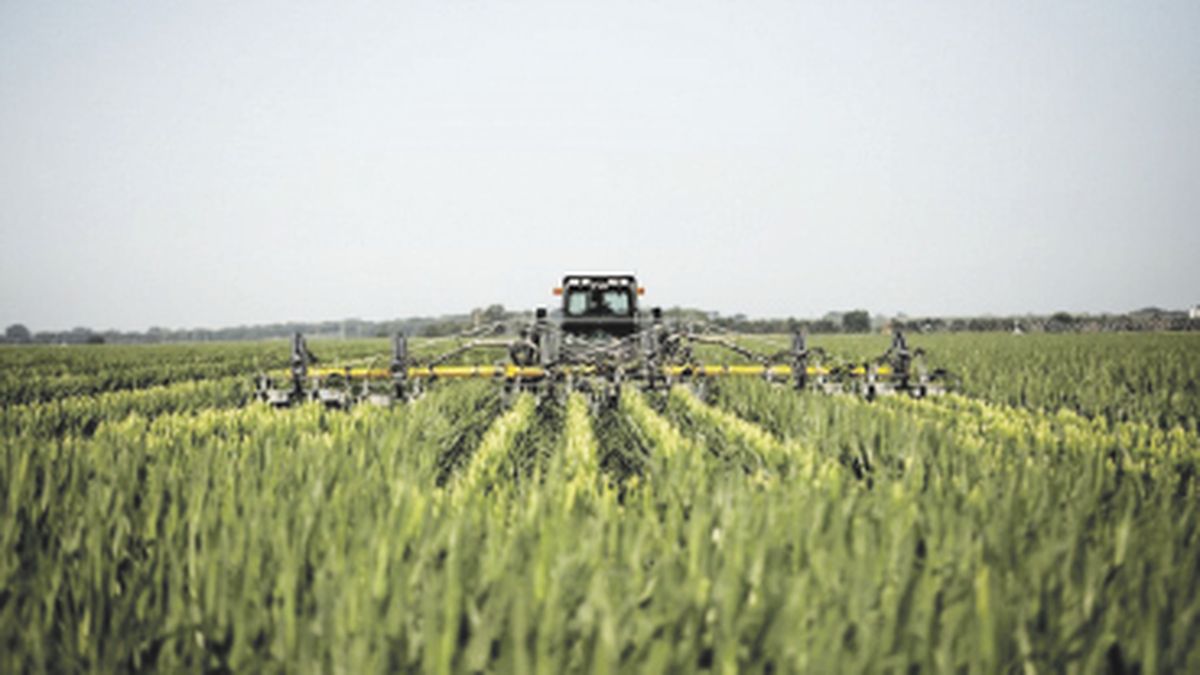 Federico Sturzenegger’s deregulation plan for the agricultural and fishing sector is moving forward