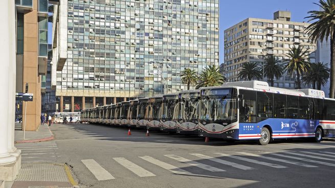 Cutcsa tiene previsto para el 2050 tener el 100% de los omnibus eléctricos.
