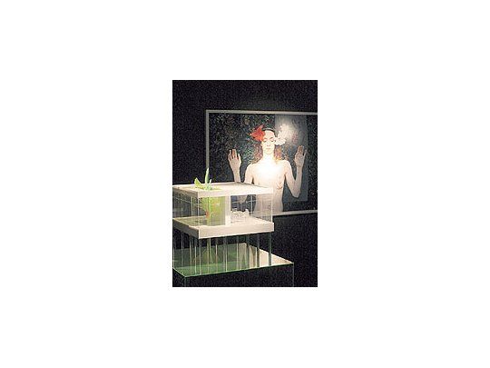 Fabiana Barreda reconstruye la casa de cristal de la arquitectaitaliana Lina Bobordi, y le inserta una pequeña pantalladonde a través de la animación digital diseña una figurafemenina.