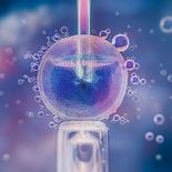 La Cámara diferenció este caso de un procedimiento de fertilización asistida destinado a un embarazo actual. La Cámara diferenció este caso de un procedimiento de fertilización asistida destinado a un embarazo actual.