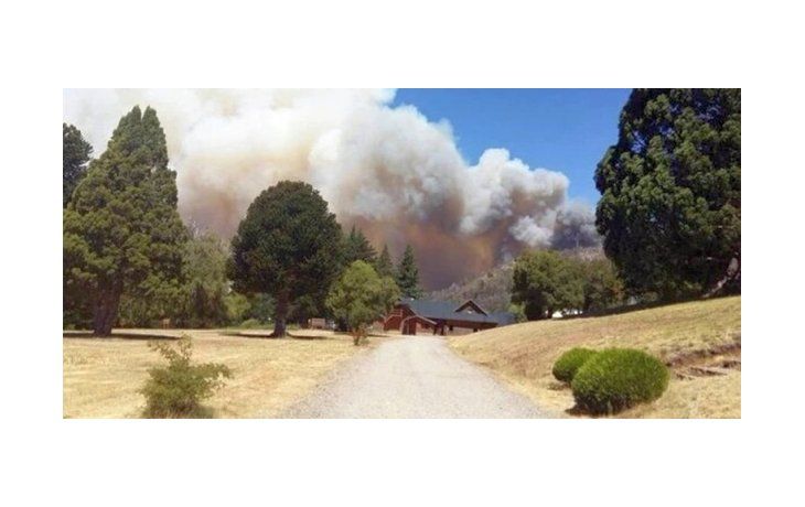 Incendio quemó 250 hectáreas en el PN Los Alerces