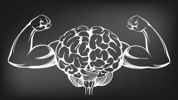 Cerebro.