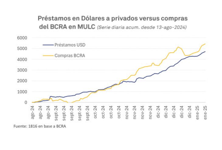 Loans in dollars almost entirely explain the purchase of dollars in the MULC by the BCRA, according to 1816. Loans in dollars almost entirely explain the purchase of dollars in the MULC by the BCRA, according to 1816.