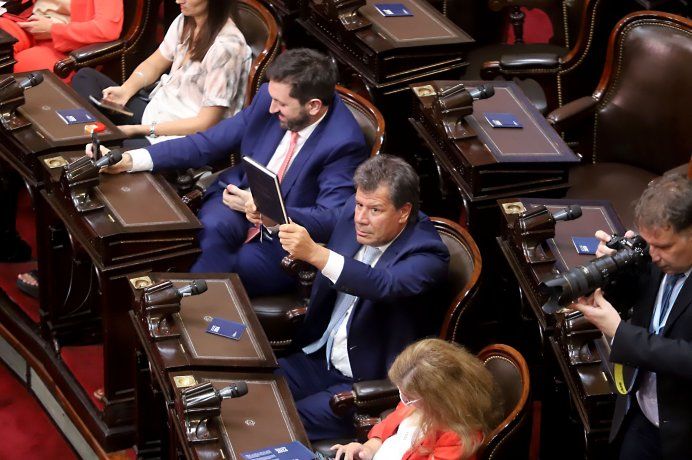 Facundo Manes junto a Pablo Juliano, referentes de Democracia para Siempre, impulsores de la sesión del miércoles.