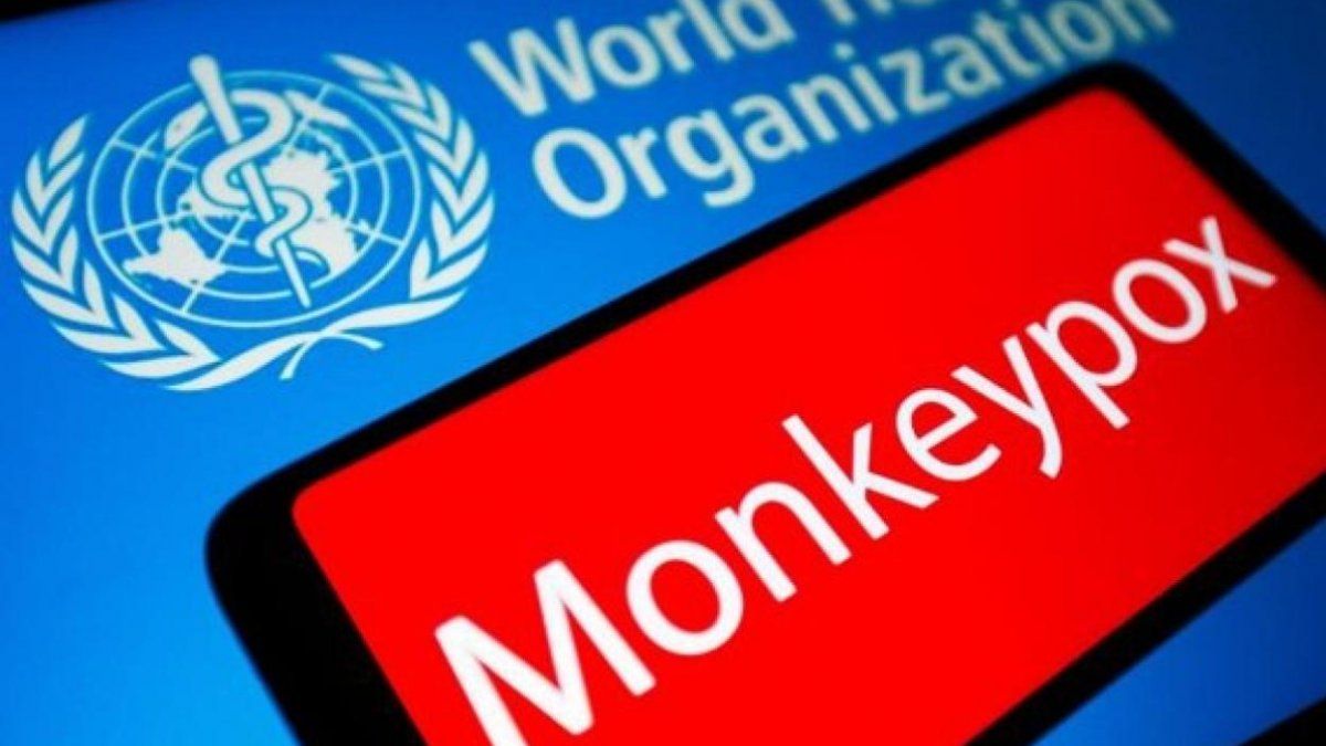 Viruela del mono: la OMS define si se trata de una emergencia mundial