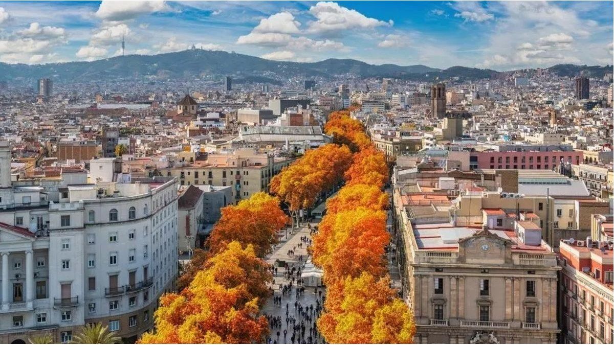 Alert in Europe: They warn that an important city will have more deaths from climate change