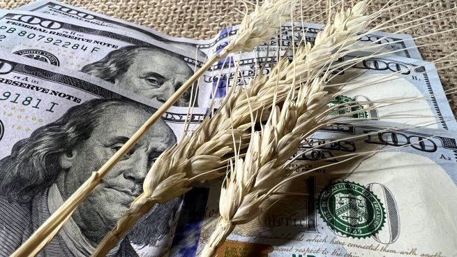 El dólar no para de caer ante la liquidación récord del agro.