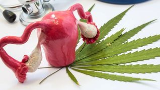 ámbito.com | Marihuana Embarazo.jpg