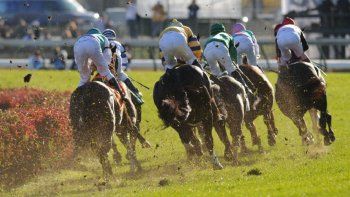 turf en el hipodromo de palermo: la carrera de velocidad pura fue ganada por la yegua queen liz