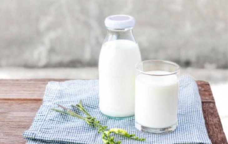 Día Mundial de la Leche.&nbsp;