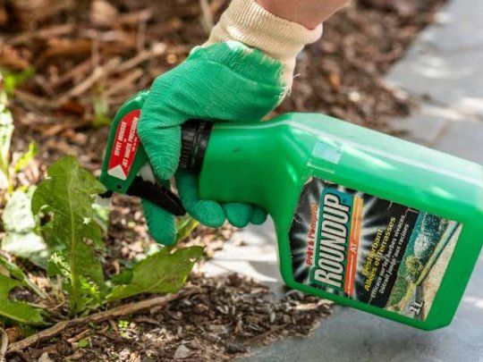 Monsanto