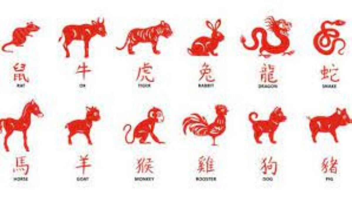 Chinese Horoscope 2025 predictions for each sign in the year of the