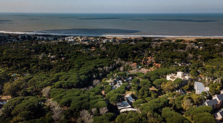 Cariló, donde el mar y los bosques son protagonistas Cariló, donde el mar y los bosques son protagonistas
