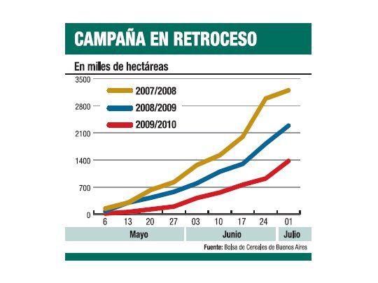 Trigo: recortan más estimación de siembra