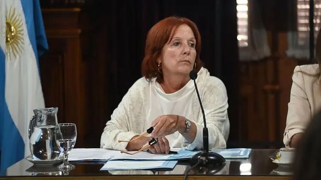 La titular de la Comisión de Asuntos Constitucionales, Alejandra Vigo, convocó a debatir el proyecto.