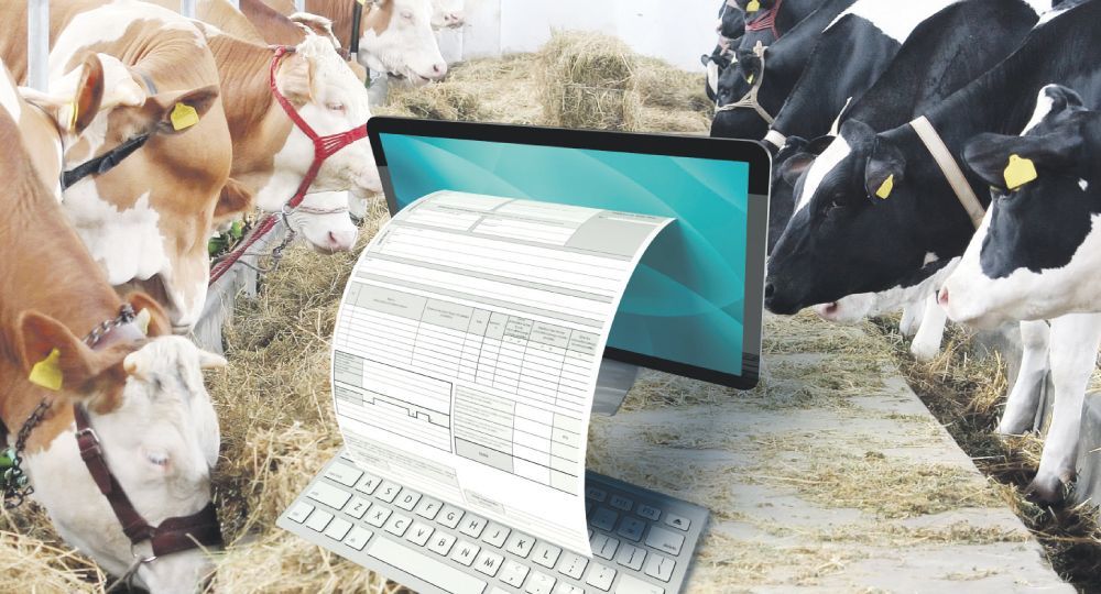 Hacienda, carnes y la factura electrónica