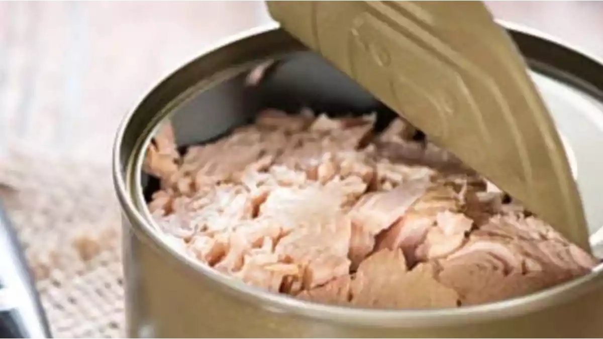 Do not throw your tuna cans: how to reuse them