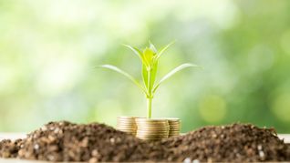 La economía uruguaya arrojó algunos datos positivos en los últimos días, ¿se empiezan a ver los brotes verdes? La economía uruguaya arrojó algunos datos positivos en los últimos días, ¿se empiezan a ver los brotes verdes?