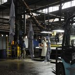 Los despidos en Paycueros se dan en medio de una preocupación sobre el mercado laboral del departamento de Paysandú. Los despidos en Paycueros se dan en medio de una preocupación sobre el mercado laboral del departamento de Paysandú.