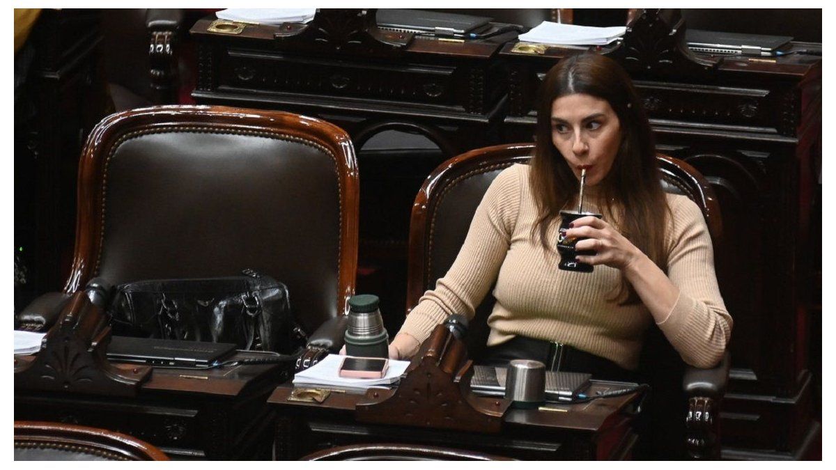 Diputados de La Libertad Avanza denuncian penalmente a Marcela Pagano por enriquecimiento il�cito